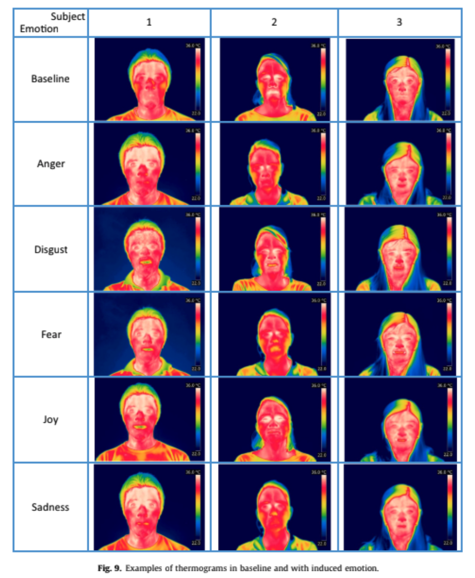 Termisk ansiktsbild - Emotionell matris