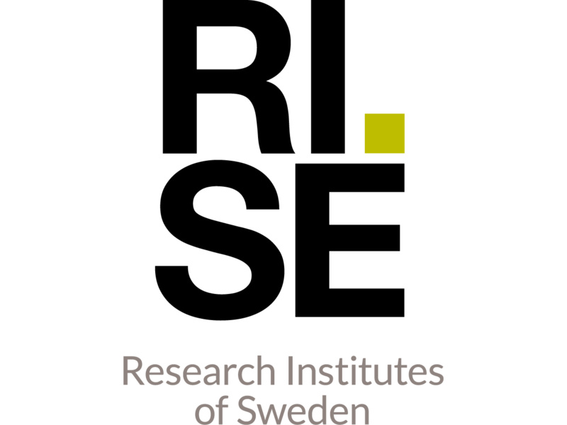 RISE Logo